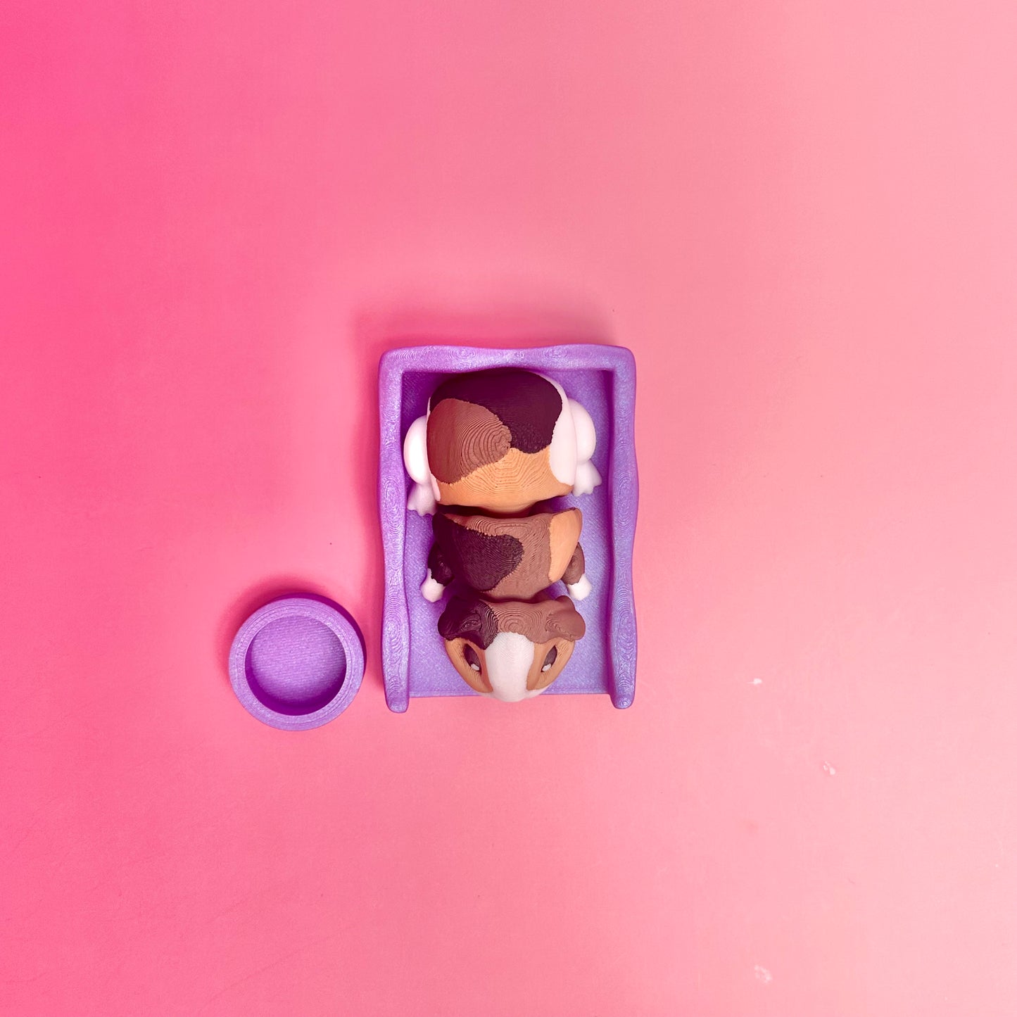 Wild Pets Home Add Ons