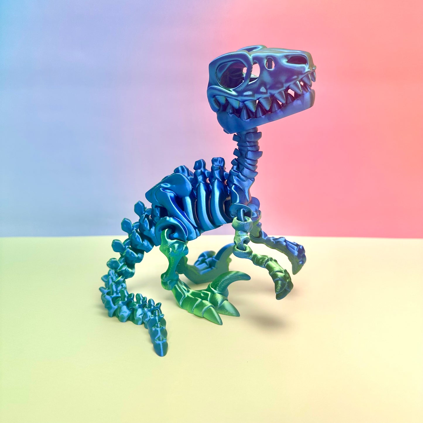 Wild Animals Skeleton Collection