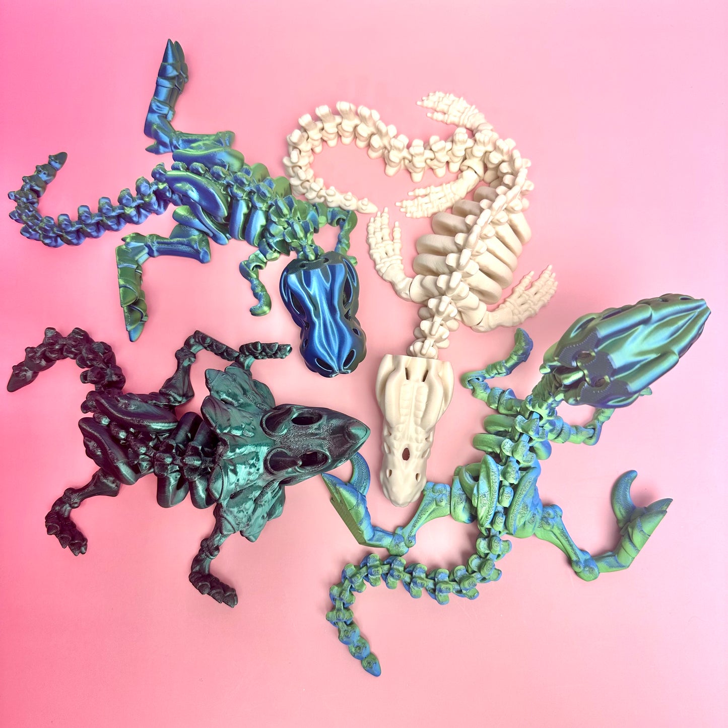 Wild Animals Skeleton Collection