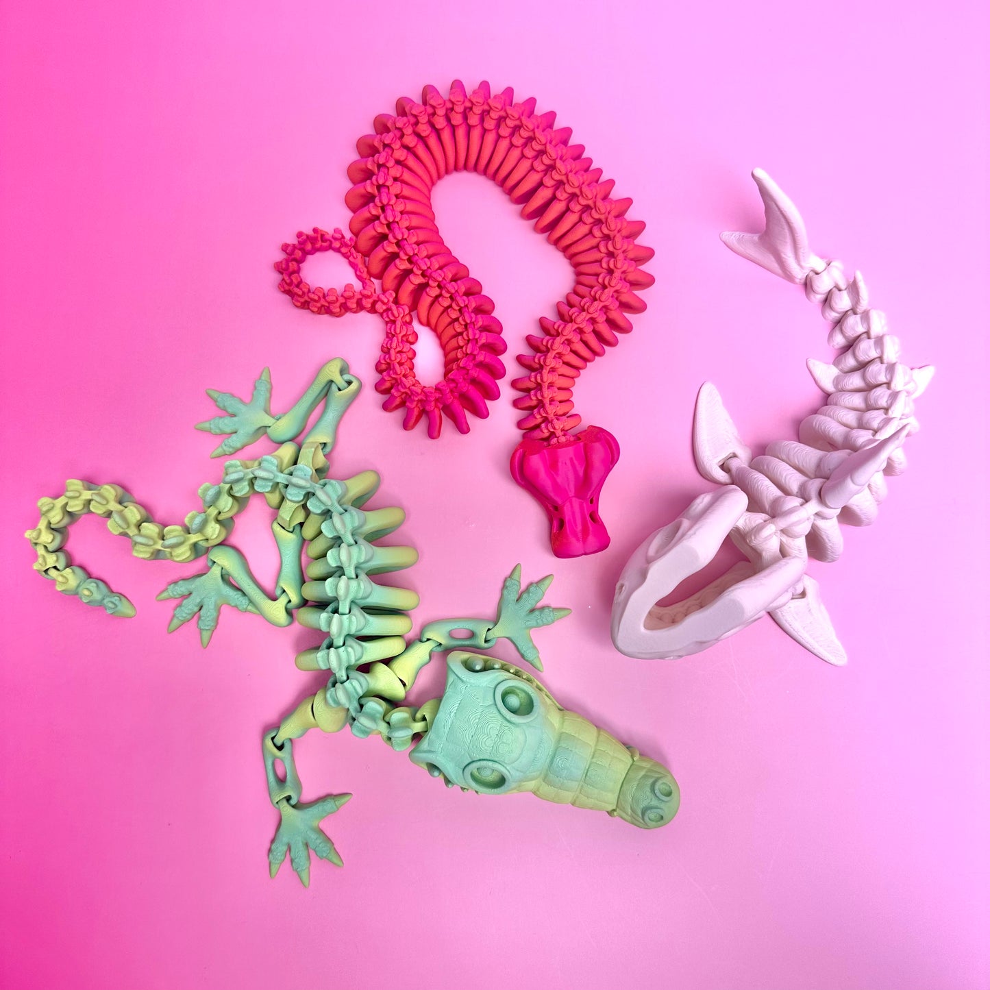 Wild Animals Skeleton Collection