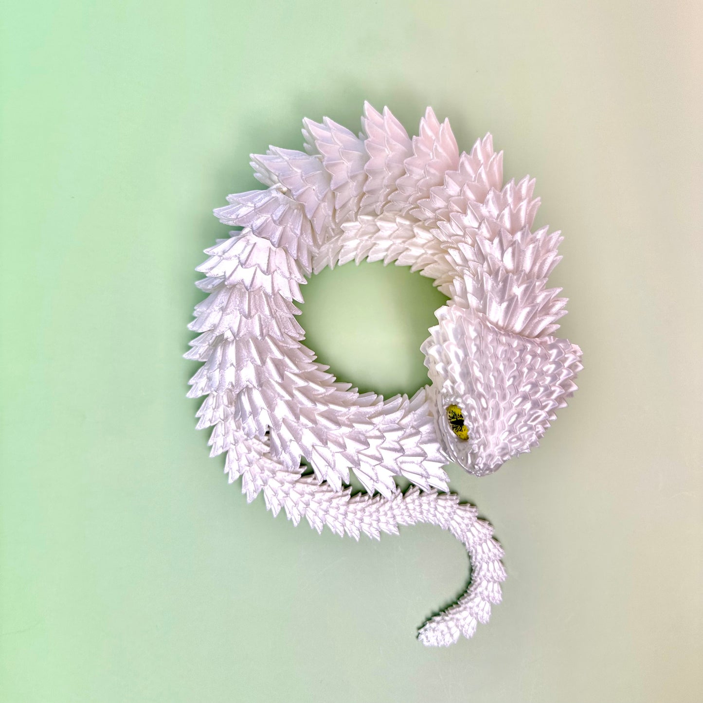 Wild Animals Snake Collection